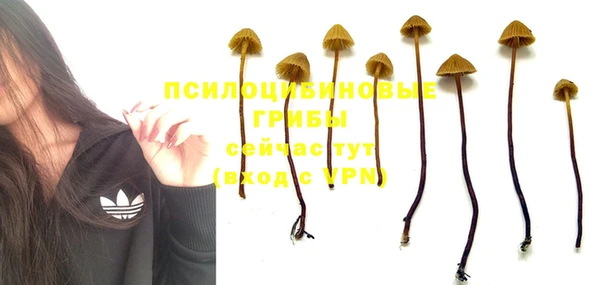 скорость Бронницы