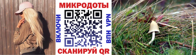 Псилоцибиновые грибы GOLDEN TEACHER  Купить где  Нерчинск 