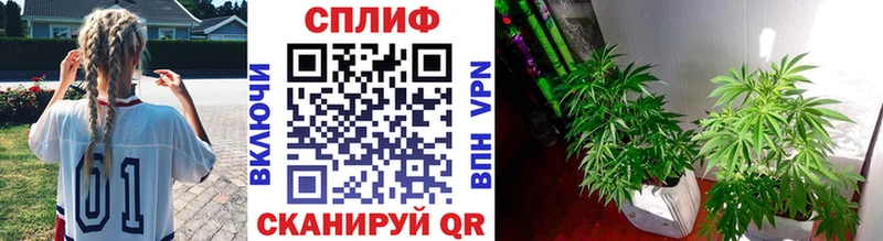 Конопля сатива  Купить закладки  Нерчинск 